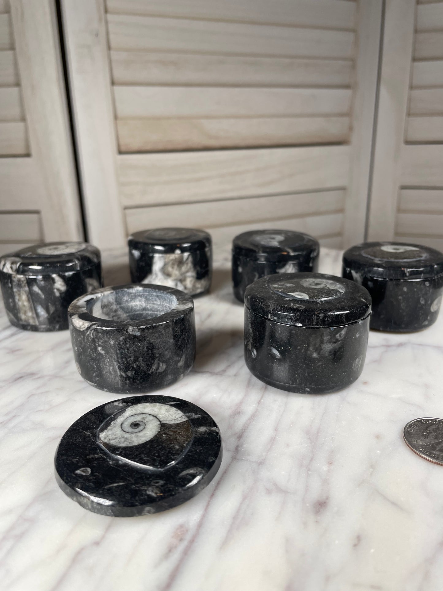 Orthoceras -Small round container