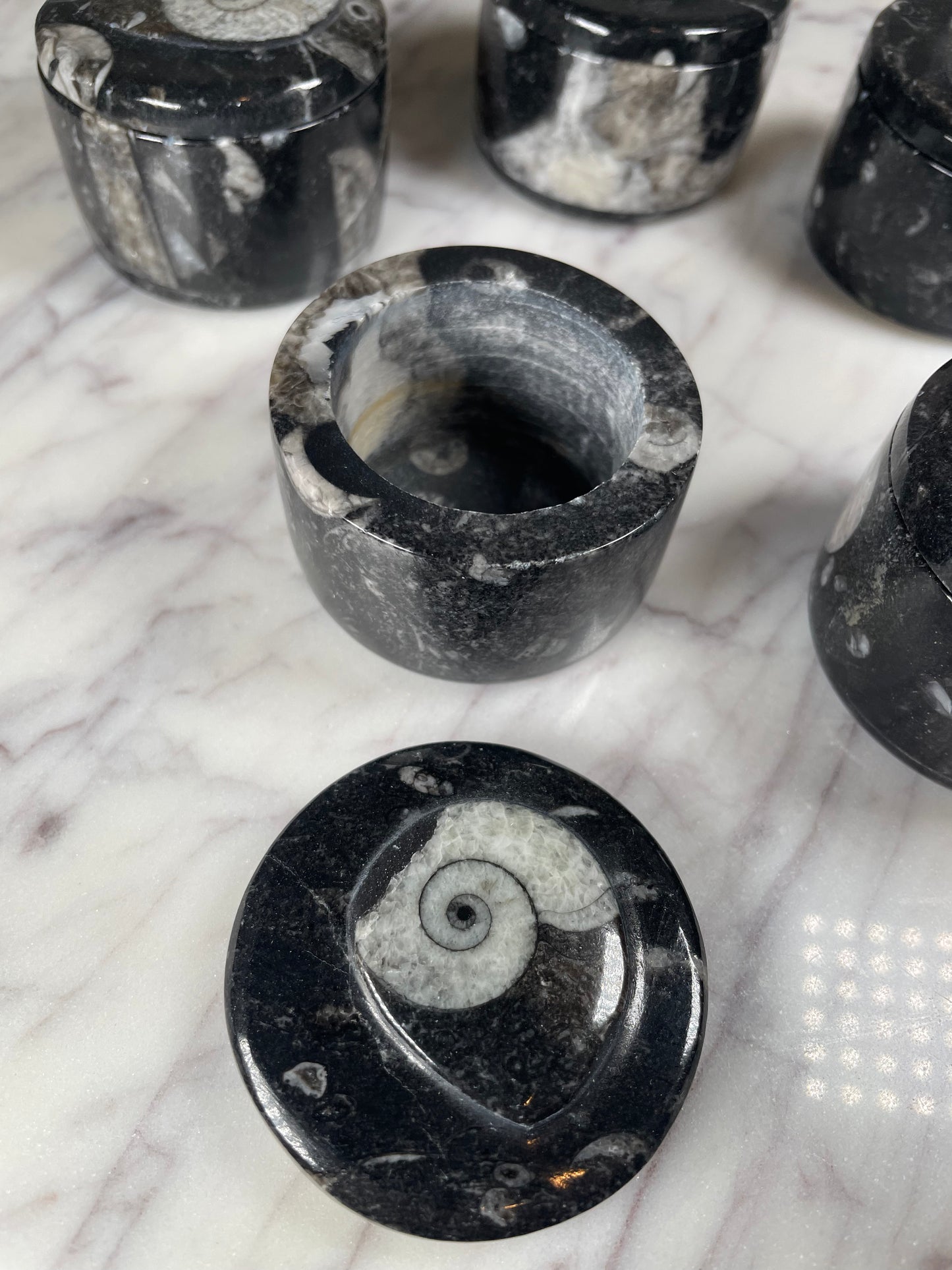 Orthoceras -Small round container
