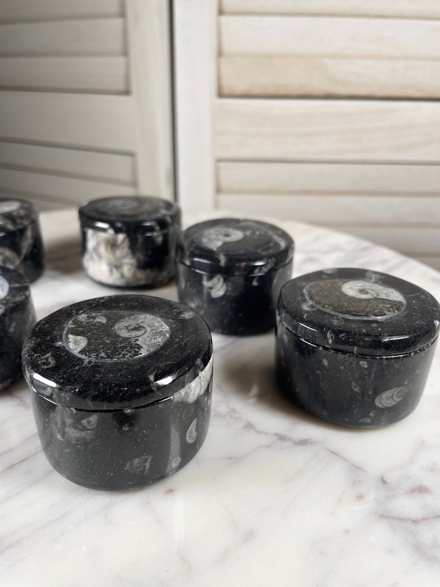 Orthoceras -Small round container