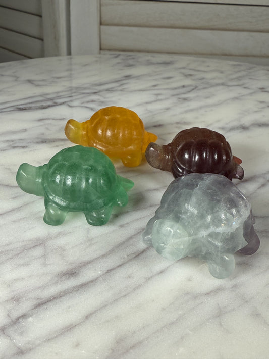 Fluorite Turtles - Small