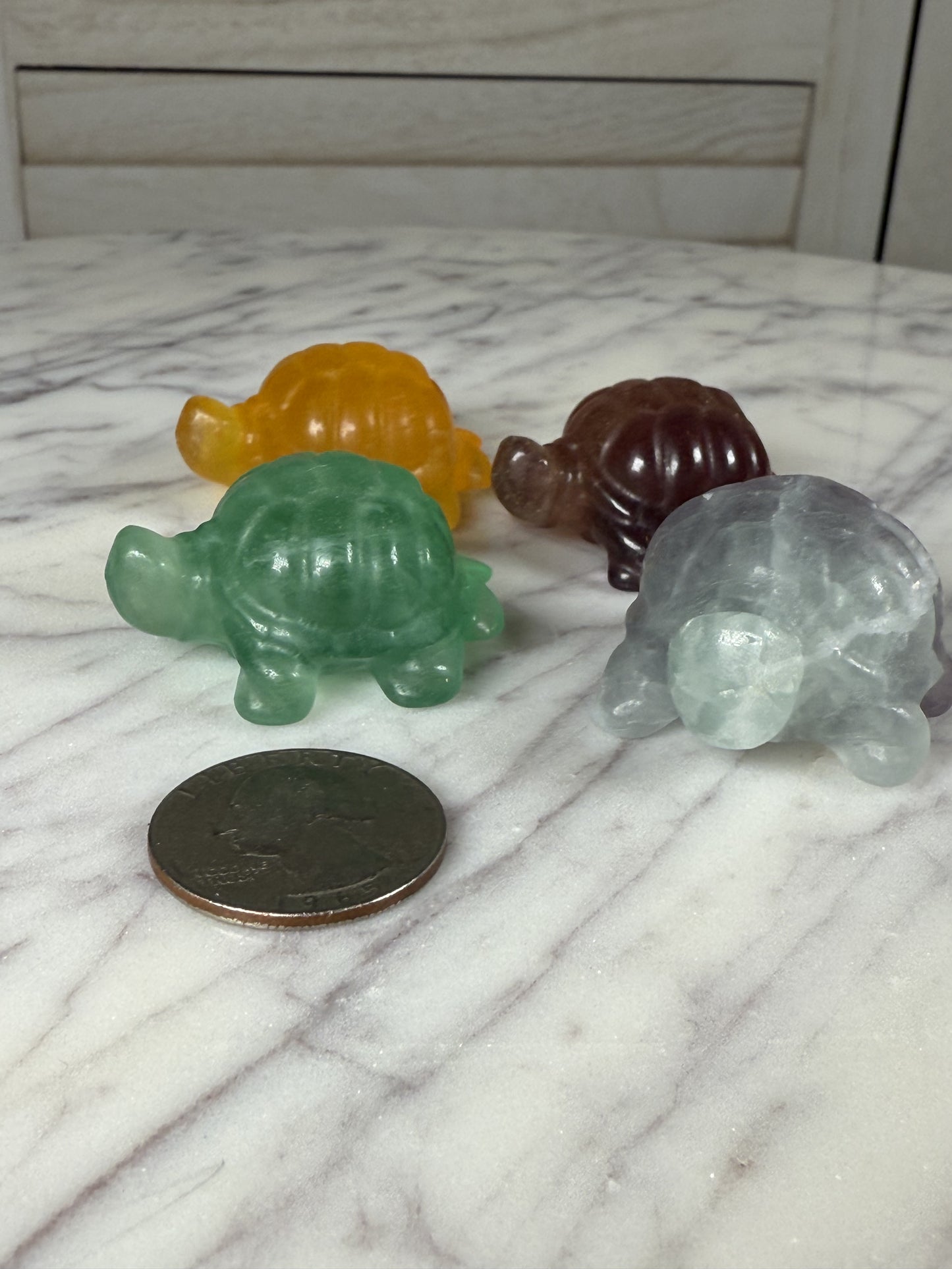 Fluorite Turtles - Small