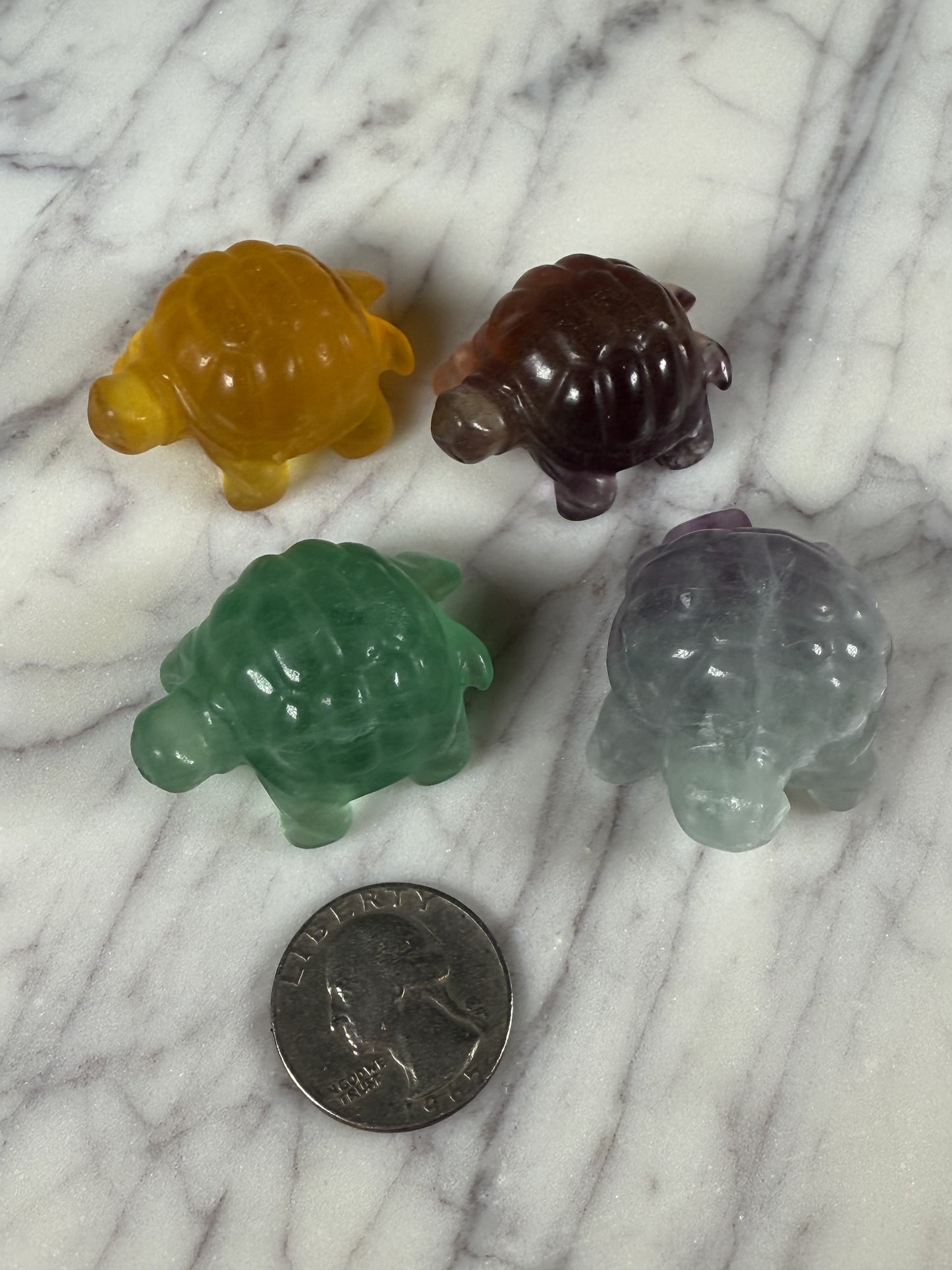 Fluorite Turtles - Small