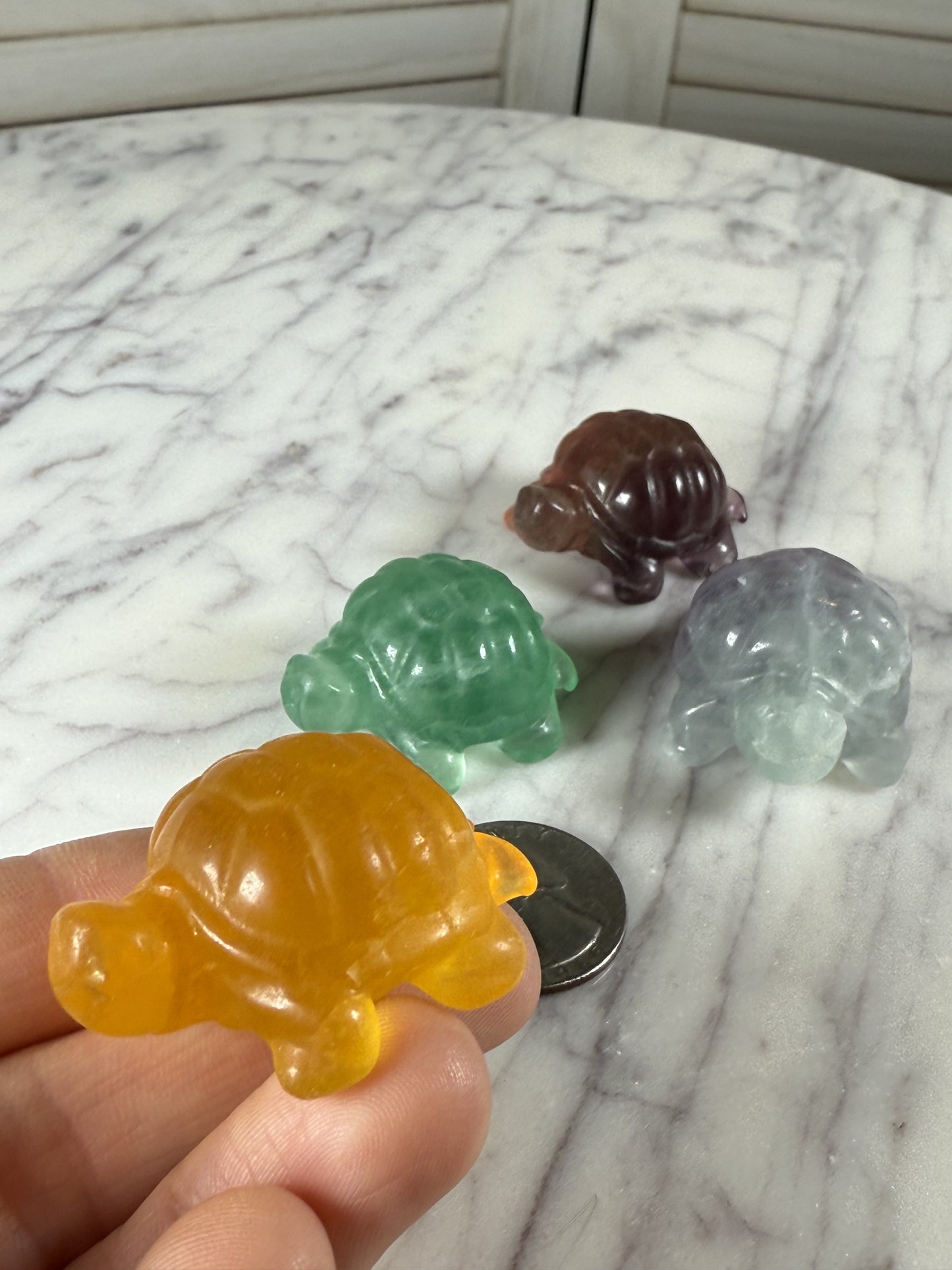 Fluorite Turtles - Small