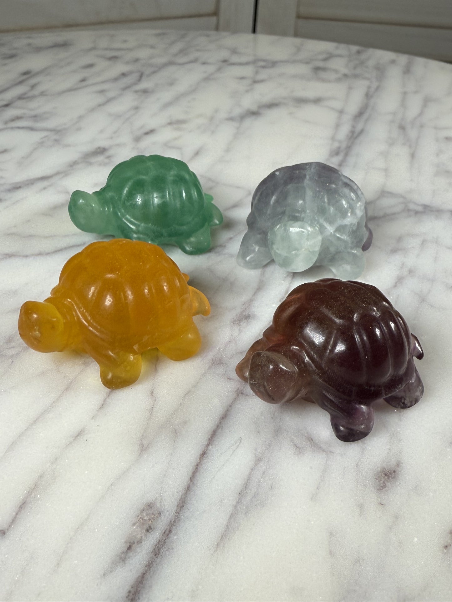 Fluorite Turtles - Small