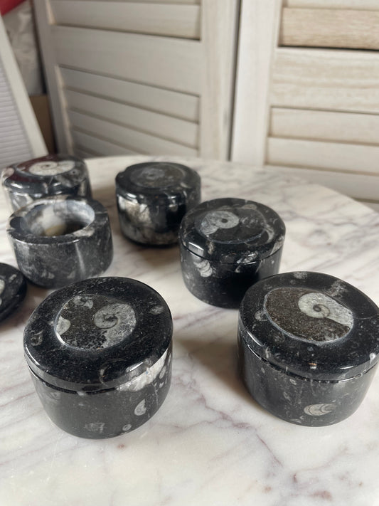 Orthoceras -Small round container