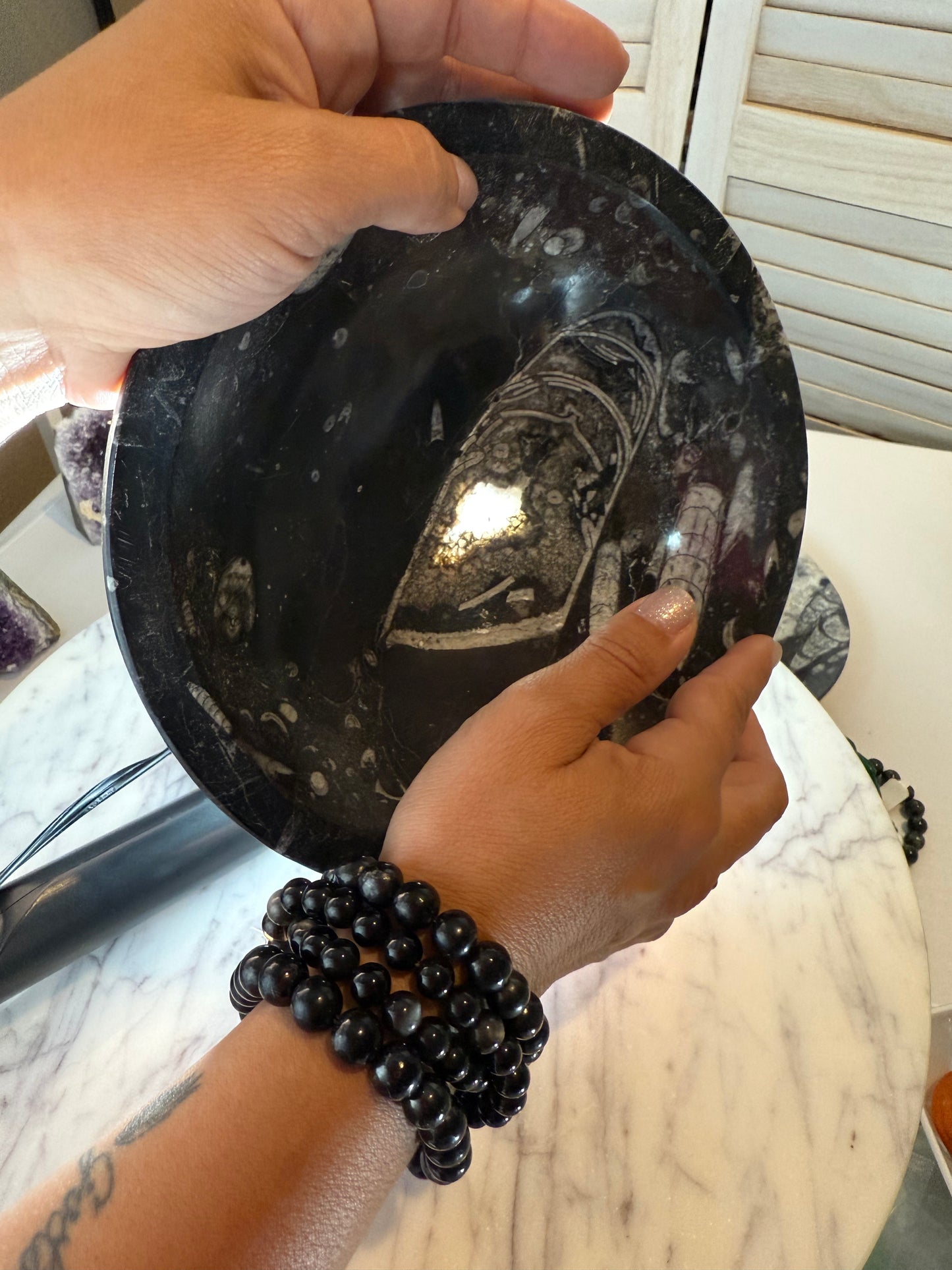 Orthoceras Bowl