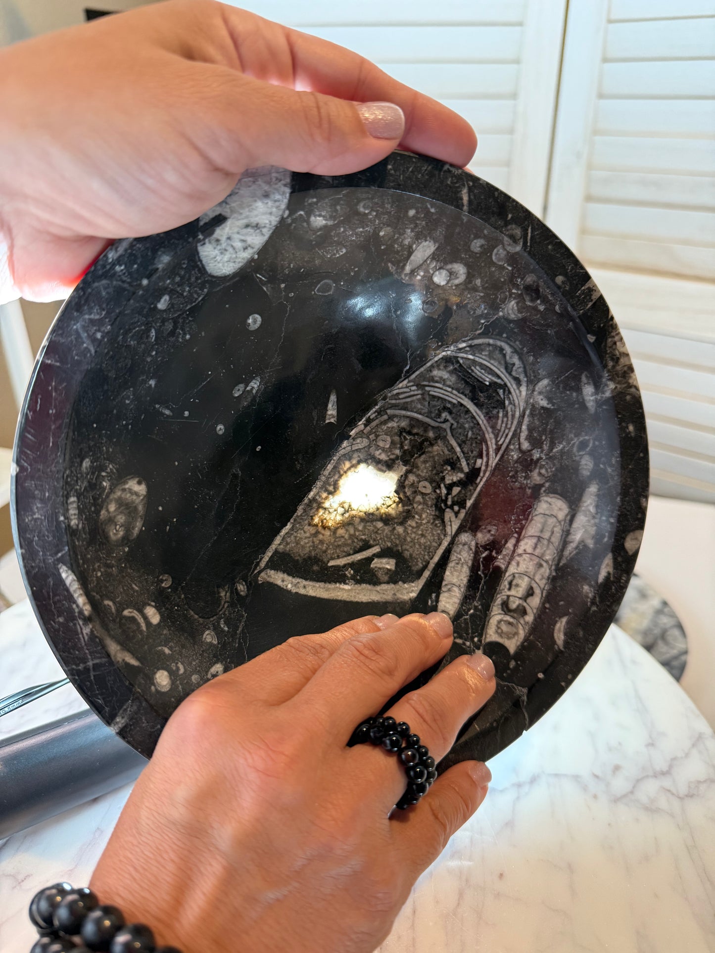Orthoceras Bowl
