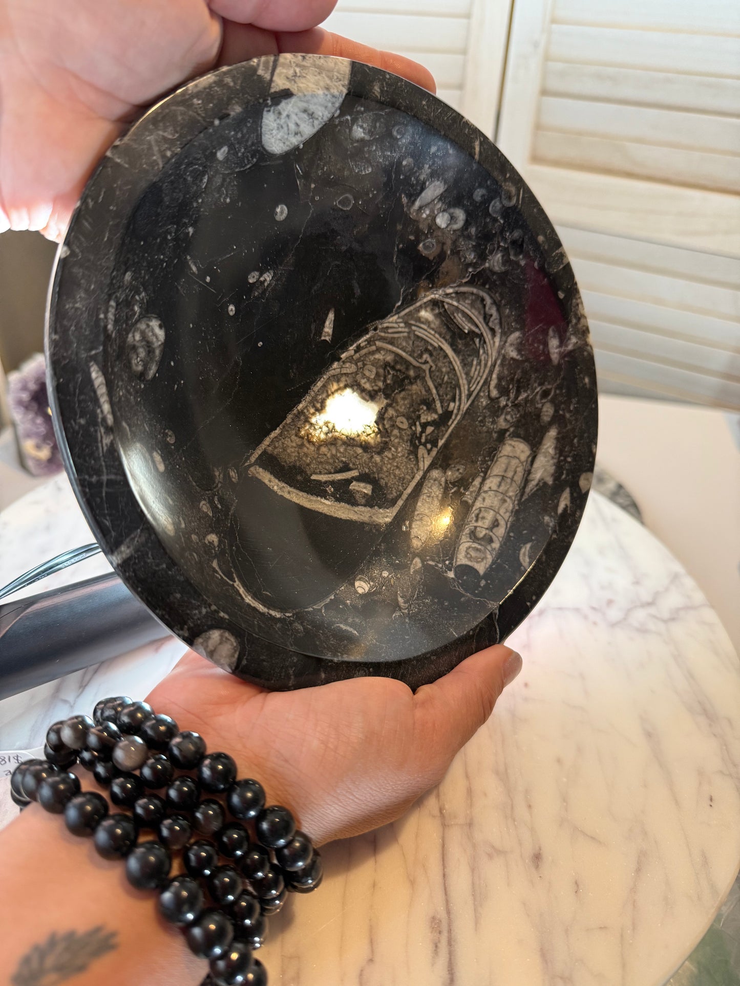 Orthoceras Bowl