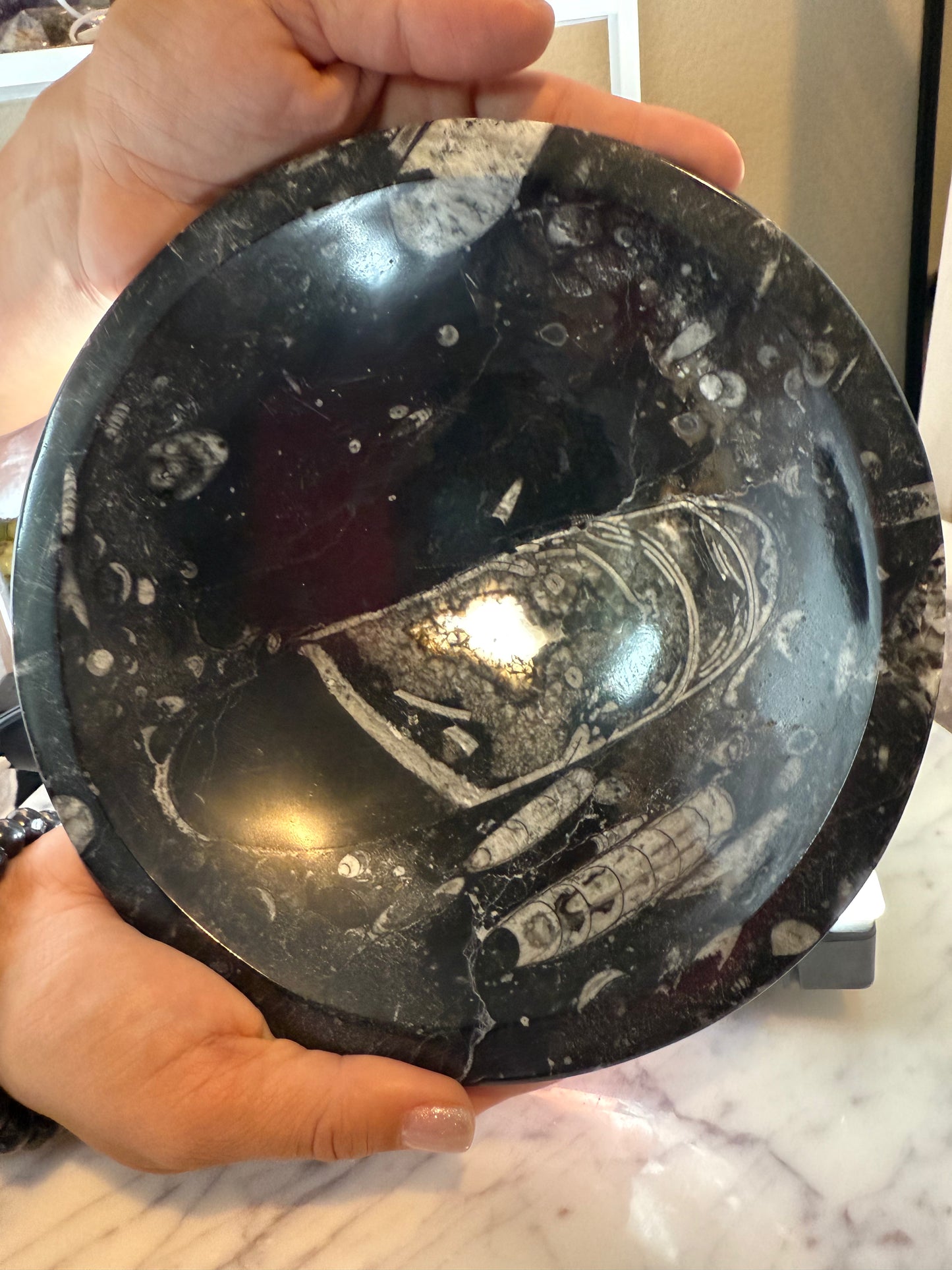 Orthoceras Bowl