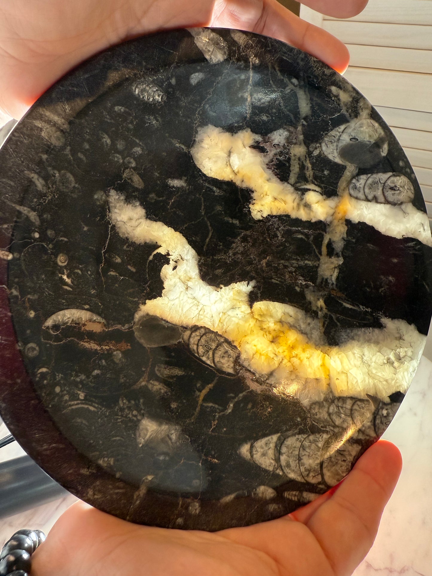 Orthoceras Bowl