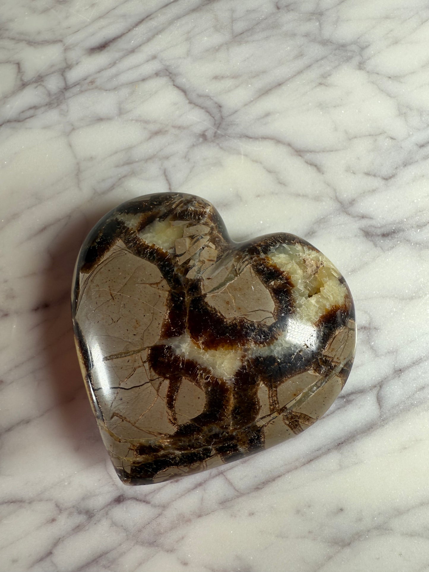 Septarian Heart