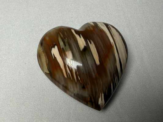 Multicolor heart in gray background
