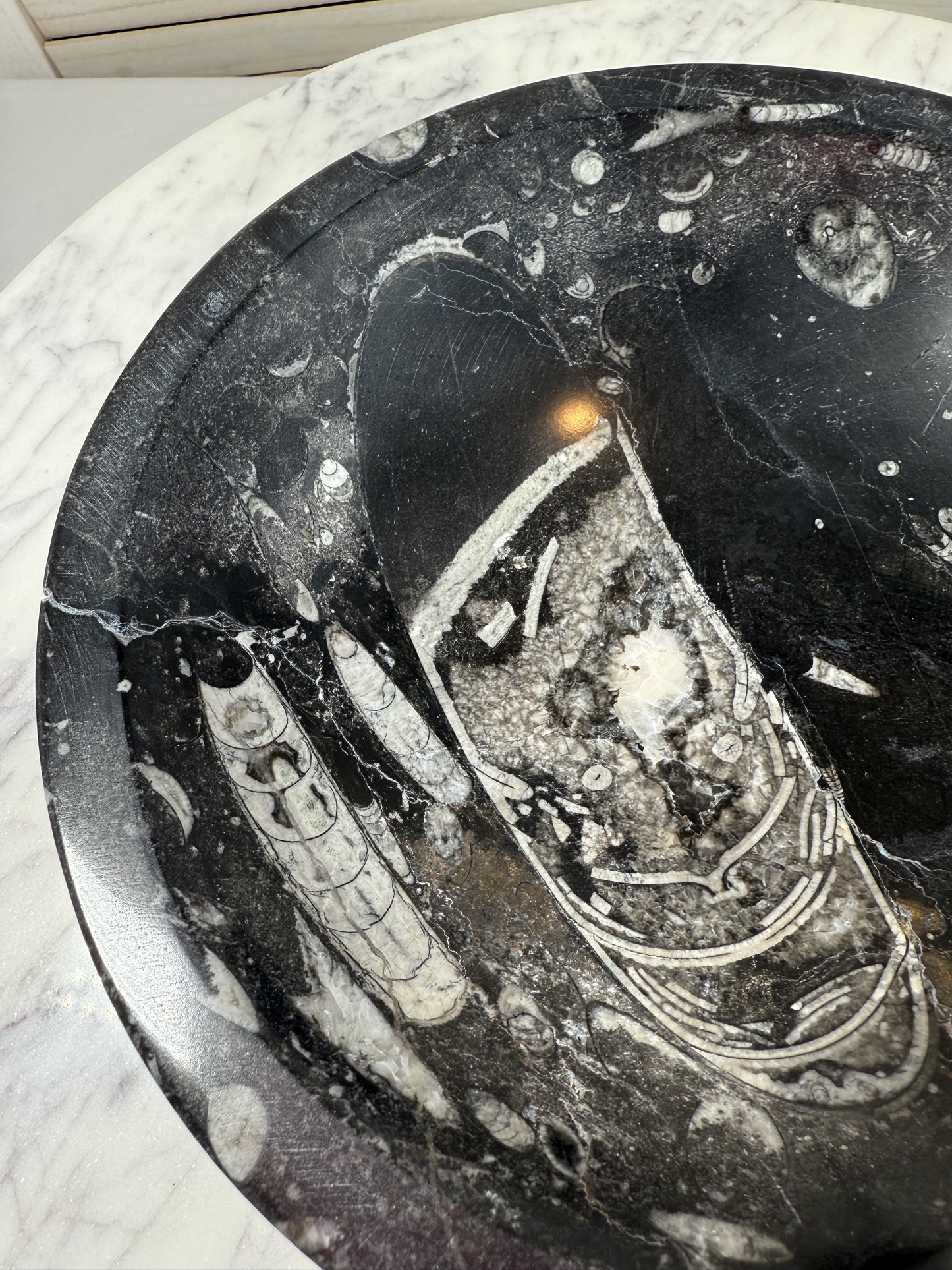 Orthoceras Bowl