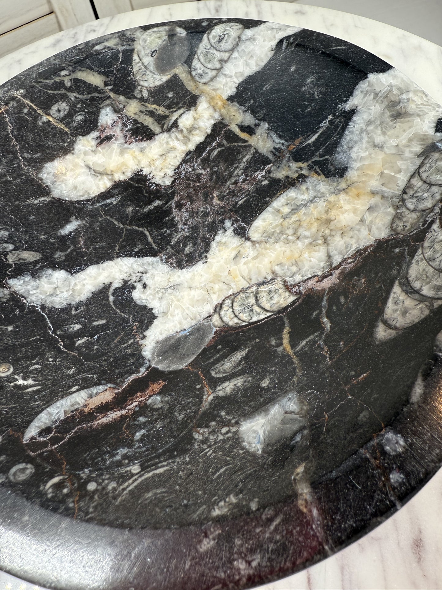 Orthoceras Bowl