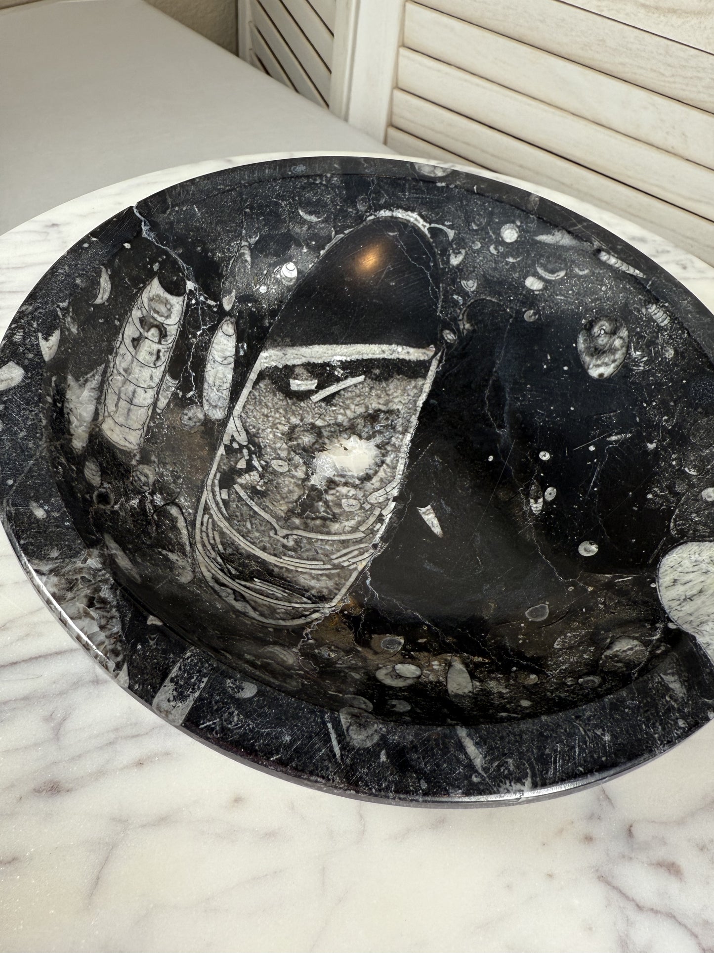 Orthoceras Bowl